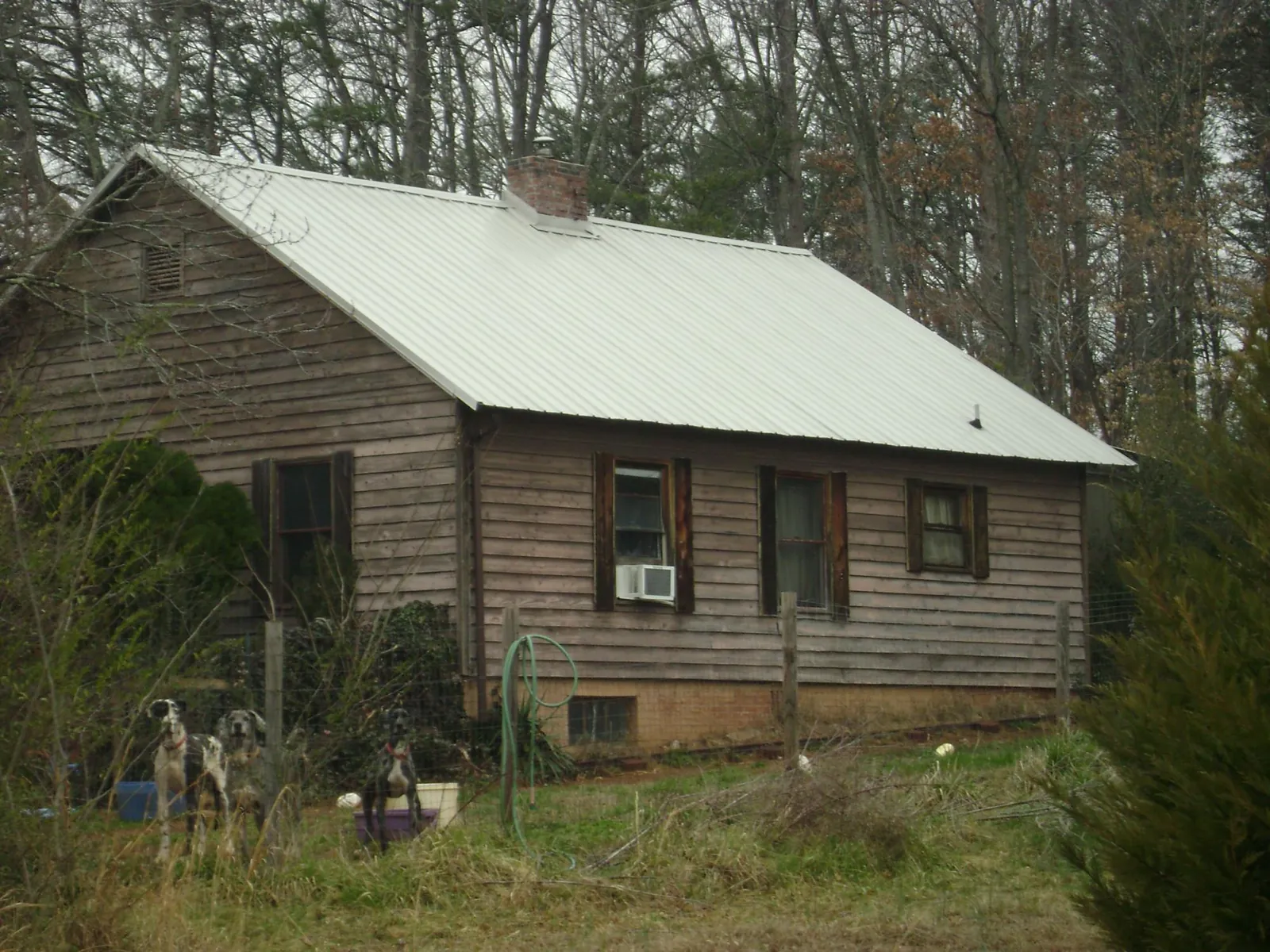 White metal roof on an old wood sided farmhouse, from a Asphalt Shingle Roof Repair job in Greenwood